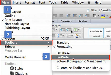 mac word references tools endnote citation format